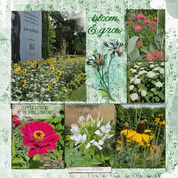 Bloom & Grow