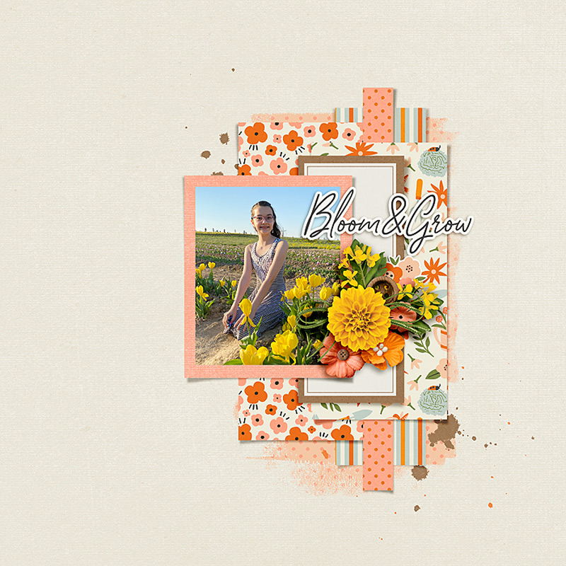 Bloom & Grow