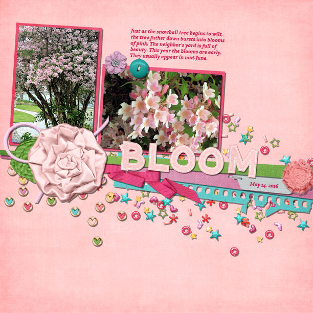 Bloom