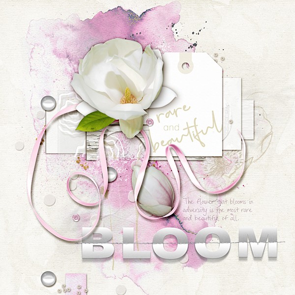 Bloom