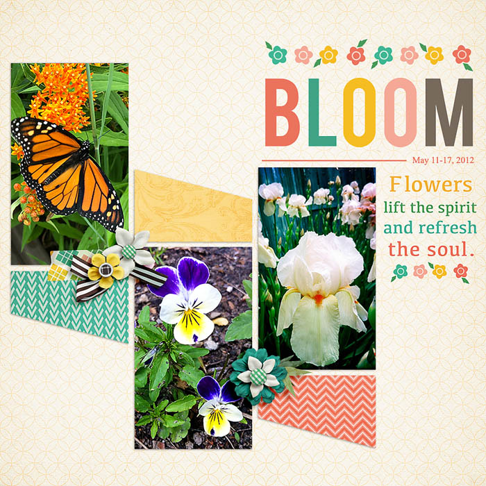 bloom