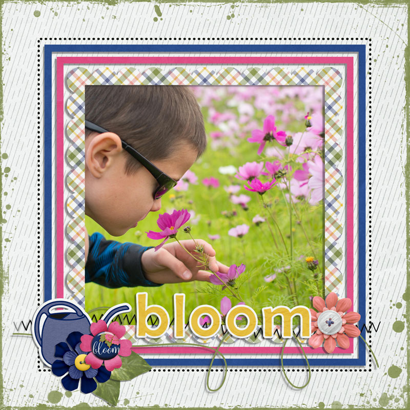 bloom