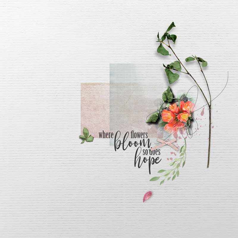 Bloom