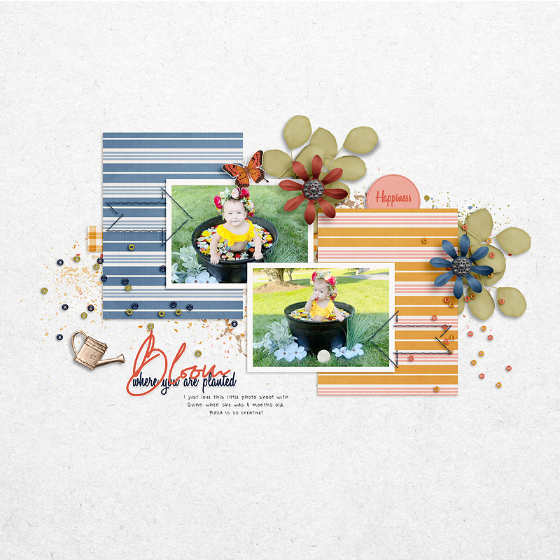 Bloom