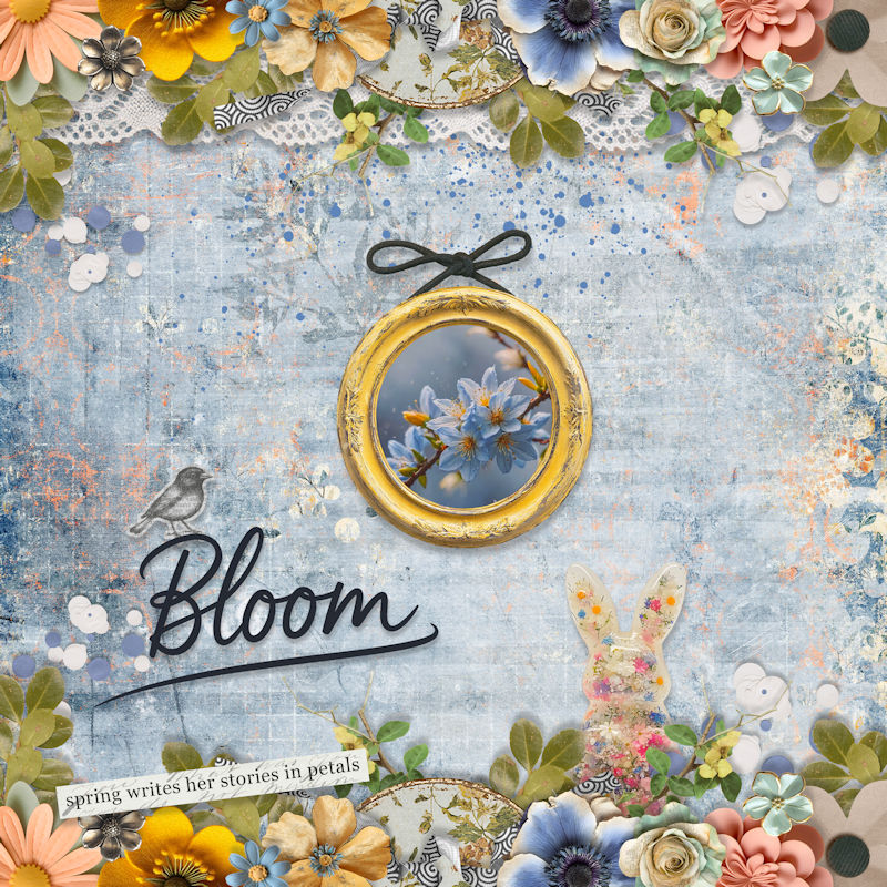 Bloom