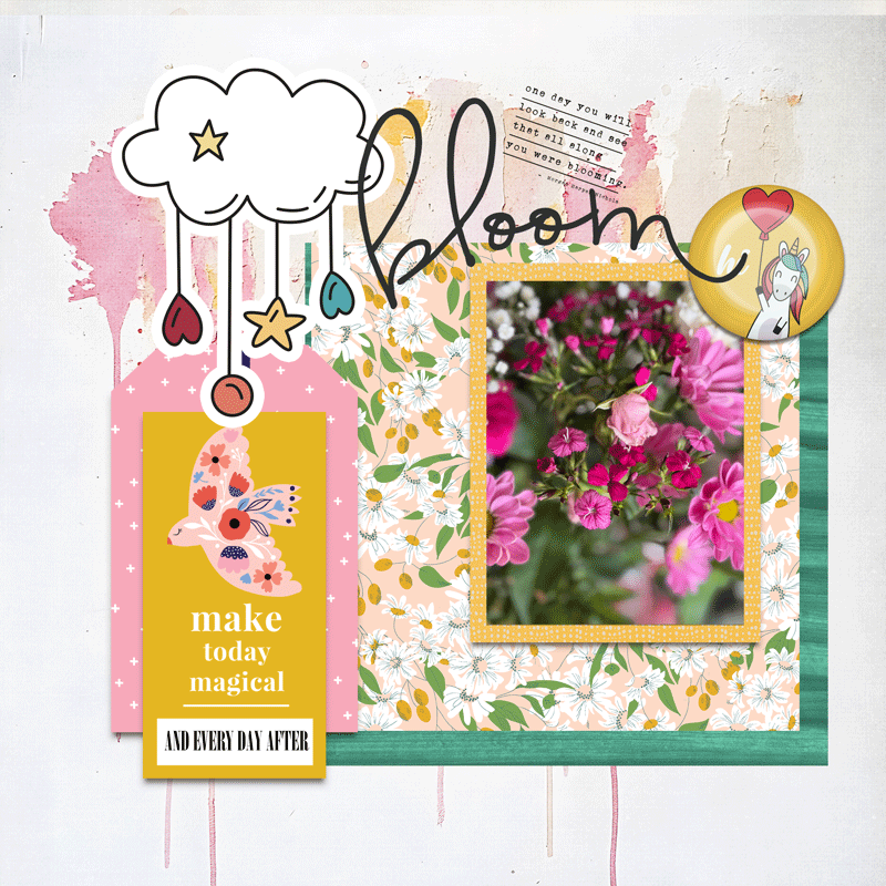 Bloom