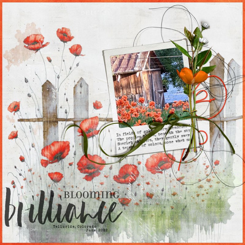 Blooming-brilliance