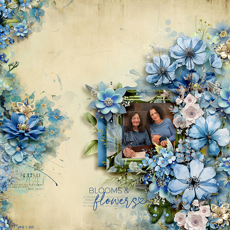 Blooms & Flowers