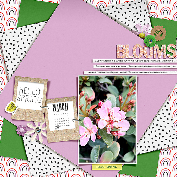 Blooms