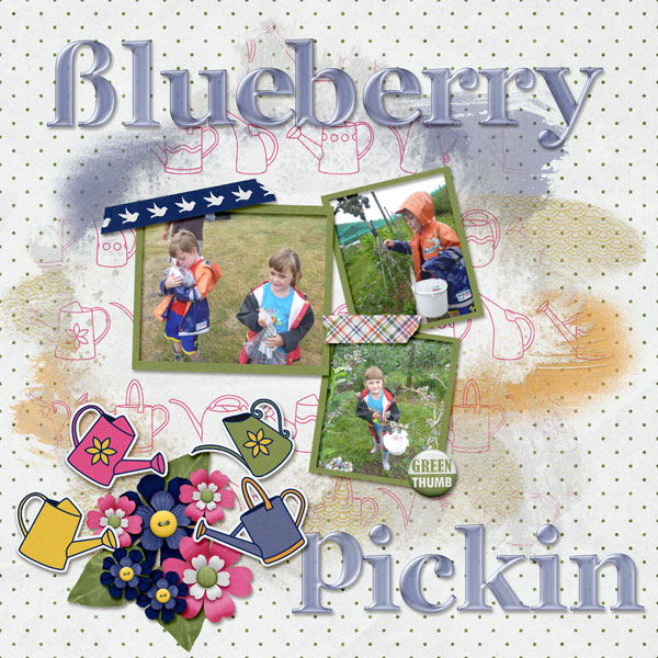 Blueberry Picking