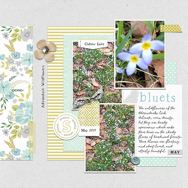 Bluets