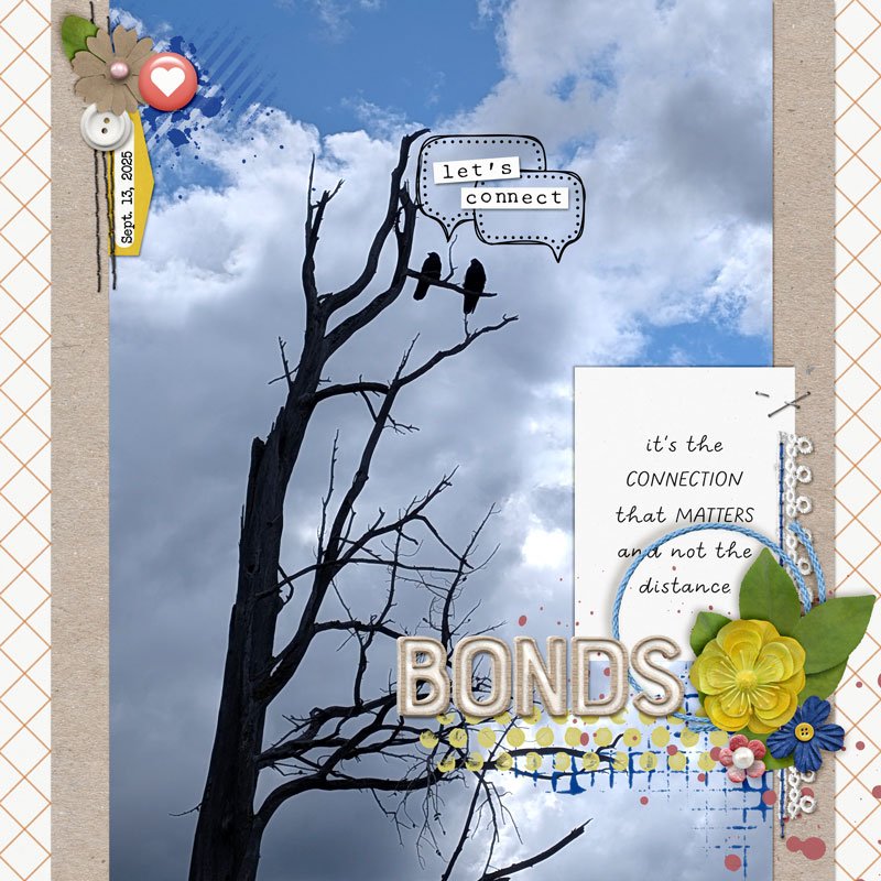bonds.jpg