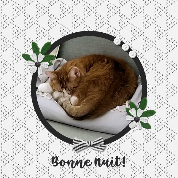 Bonne Nuit