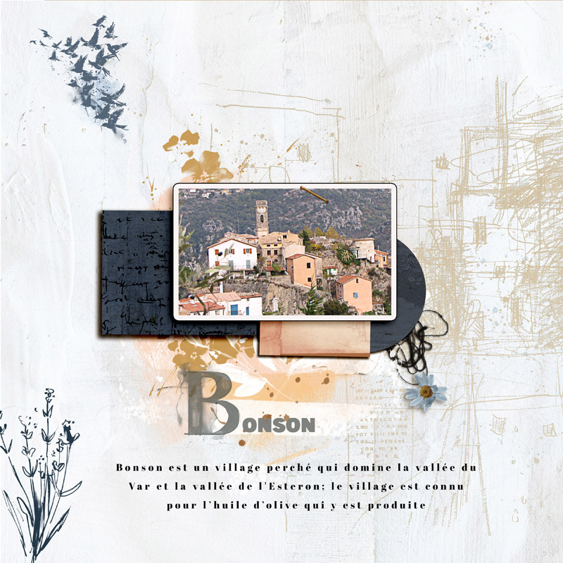 Bonson