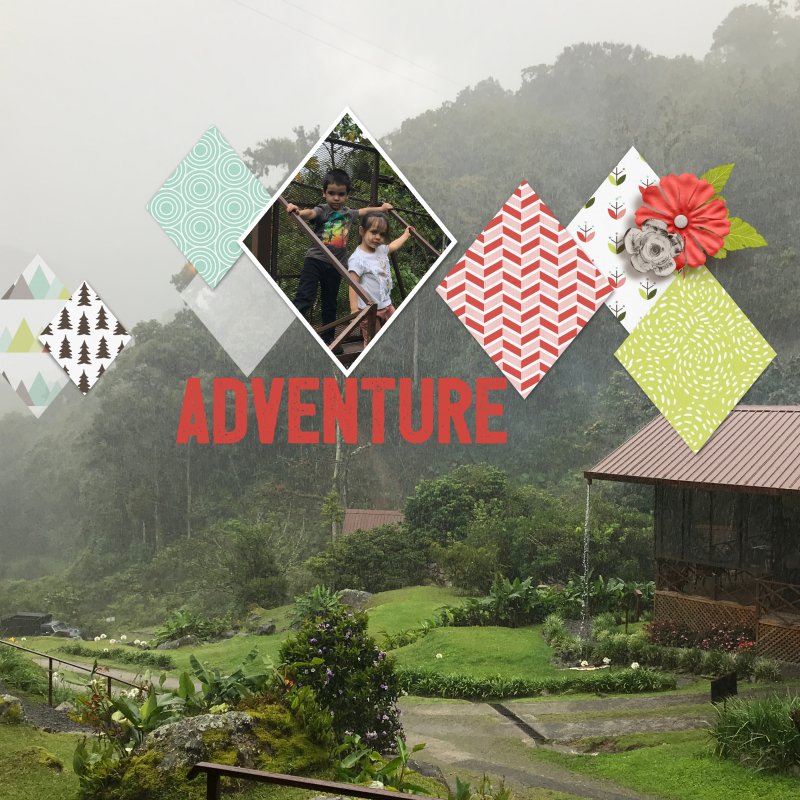 Boquete tree trek