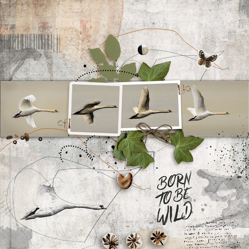 Born to be wild