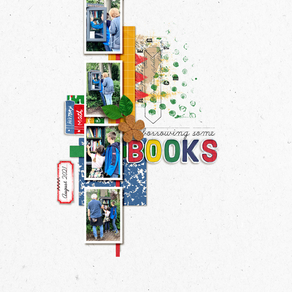 Borrowing Some Books