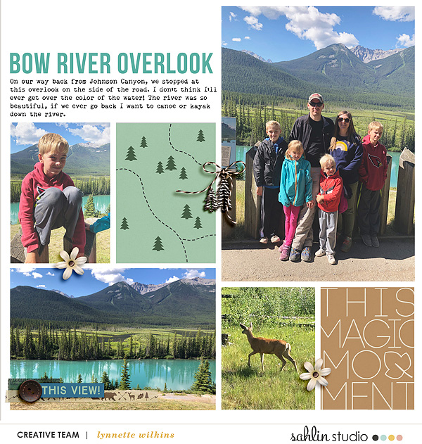 bow river overlook