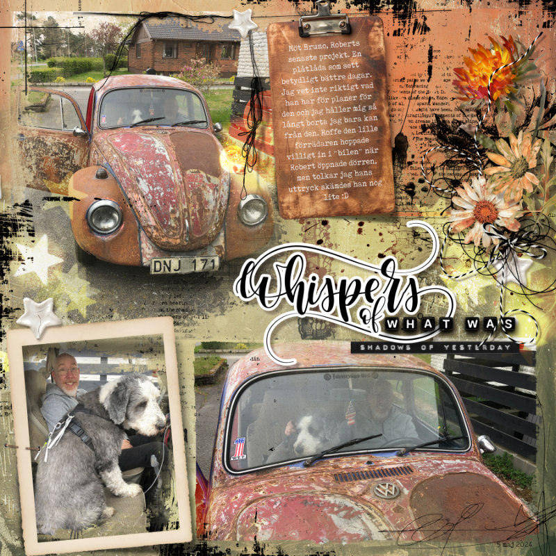 Bruno the Beetle