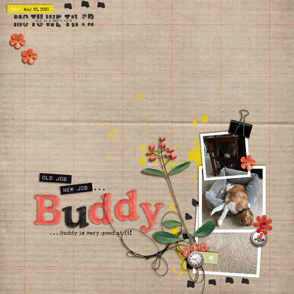 Buddy's Job