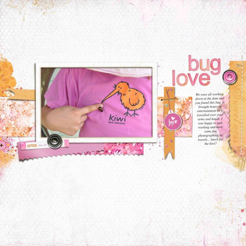 Bug love