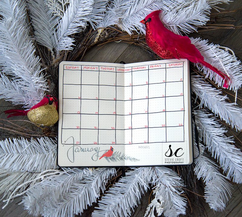 Bujo: January Calendar