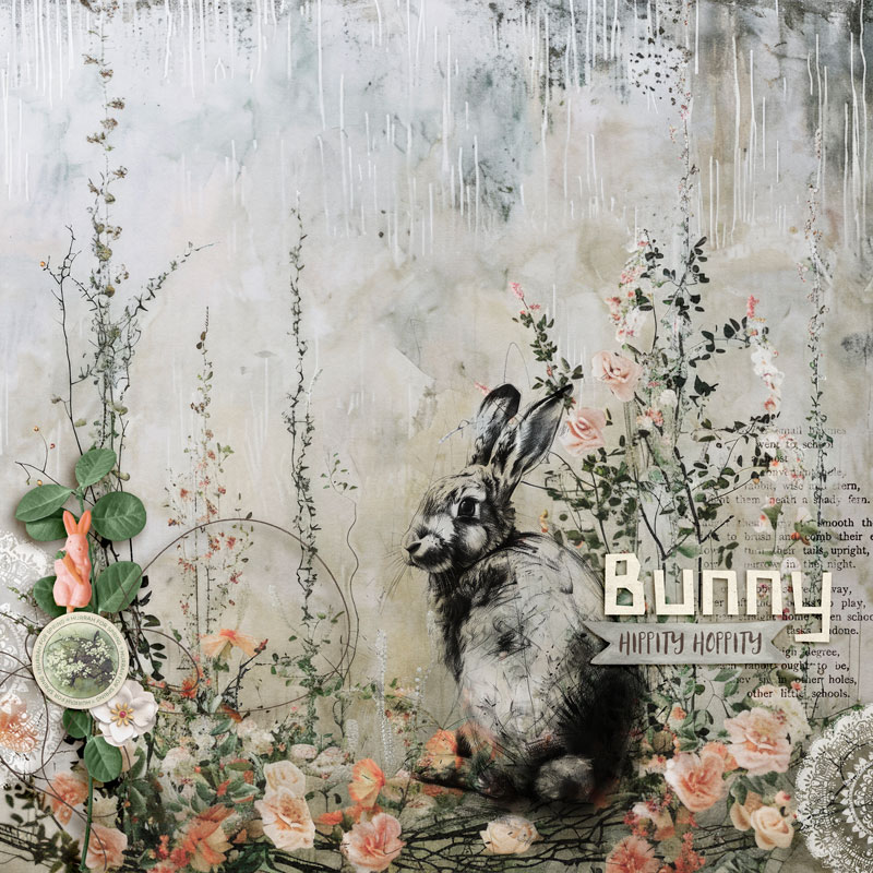 Bunny