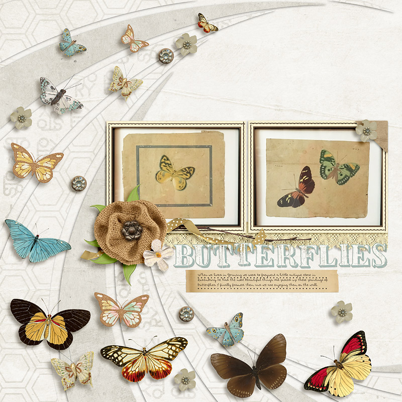 Butterflies-WEB