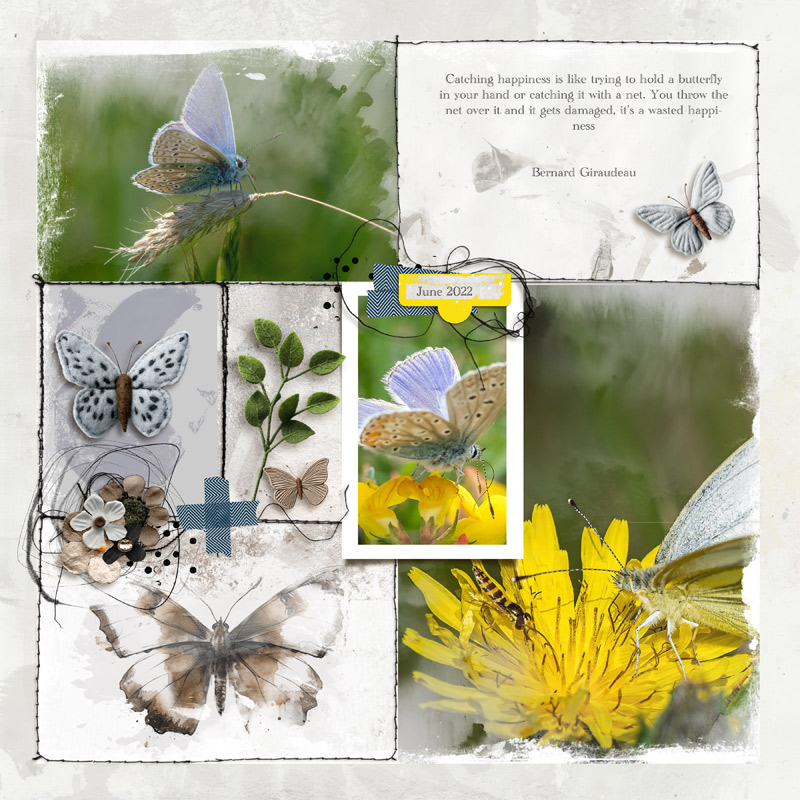 Butterflies
