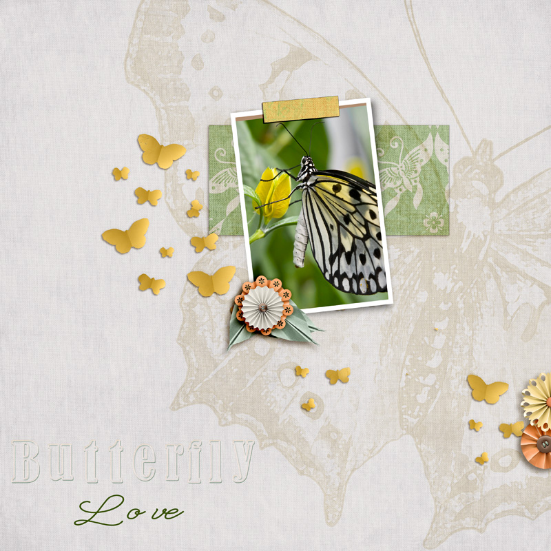 Butterfly Love