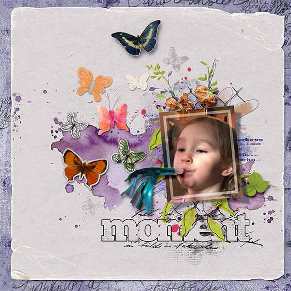 Butterfly Moment