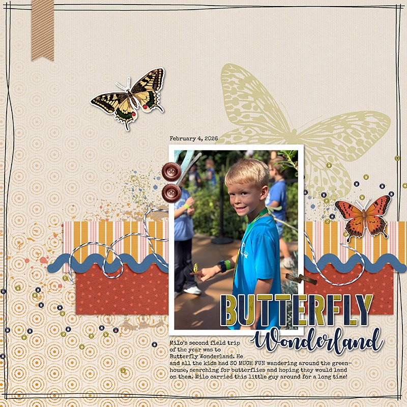 Butterfly Wonderland