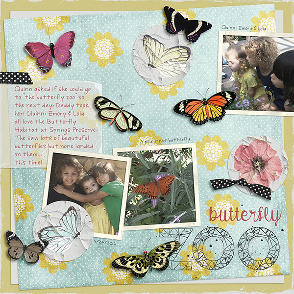Butterfly Zoo