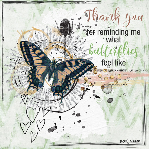 Butterfly