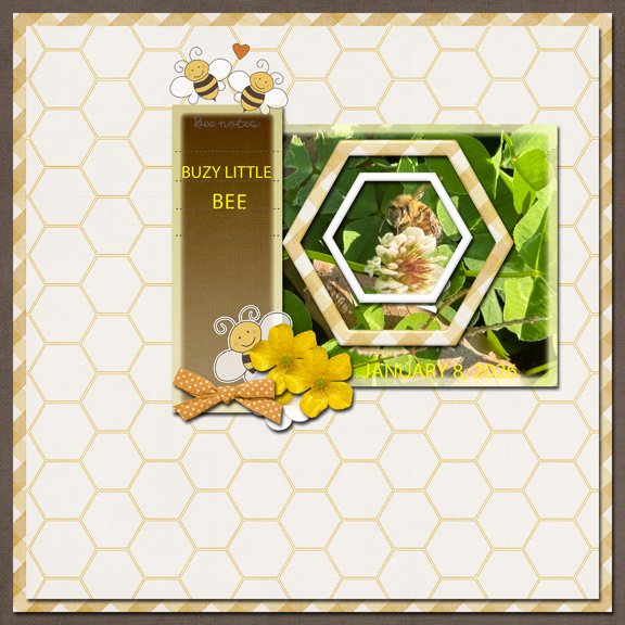 Buzy Bee 8x8 72.jpg