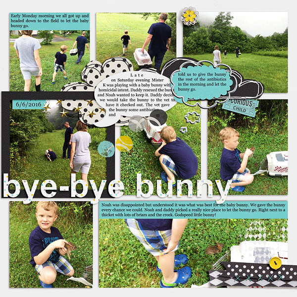 Bye Bye Bunny