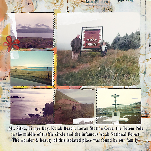 Byoc-19-totem-adak-nat-forest-copy