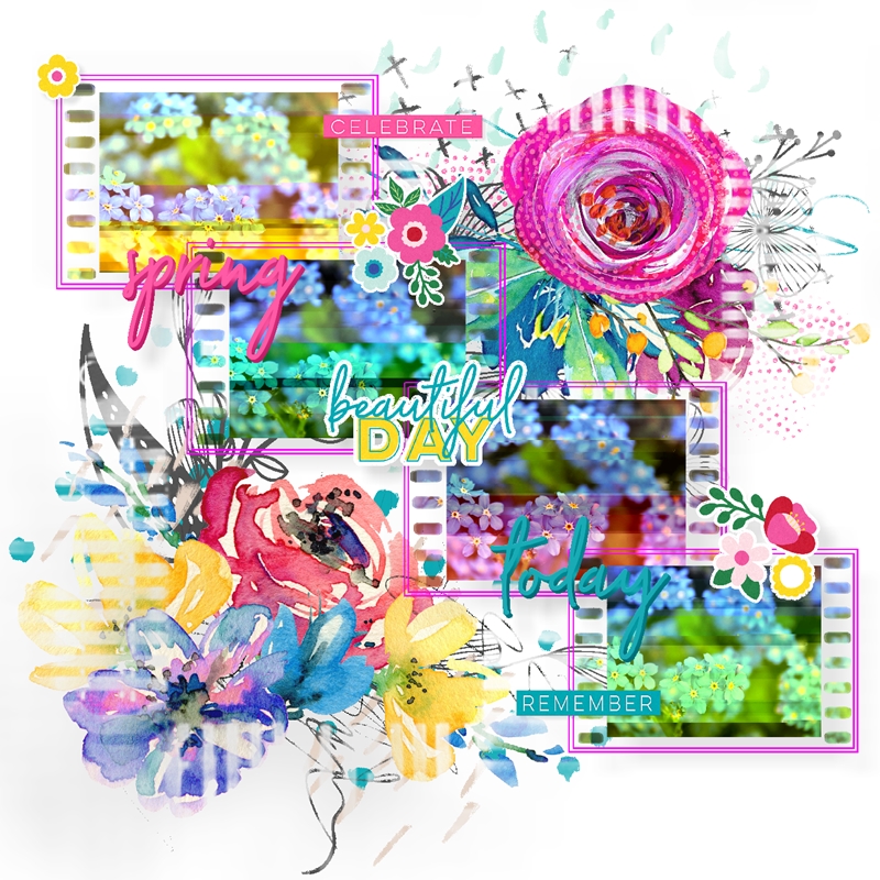 BYOC Challenge-May-Forget Me Not