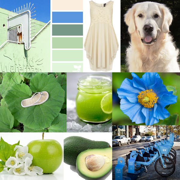 BYOC Color Inspiration