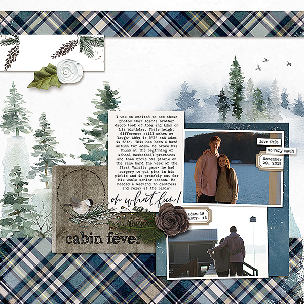 cabin fever