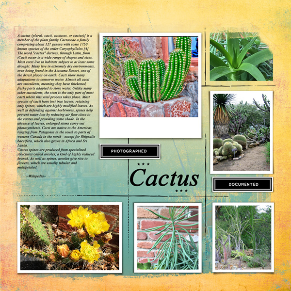Cactus