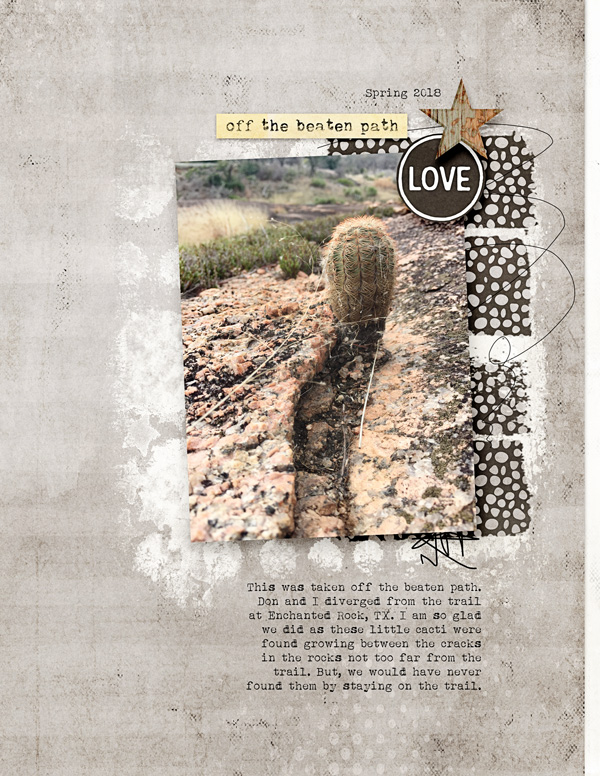 CactusLove