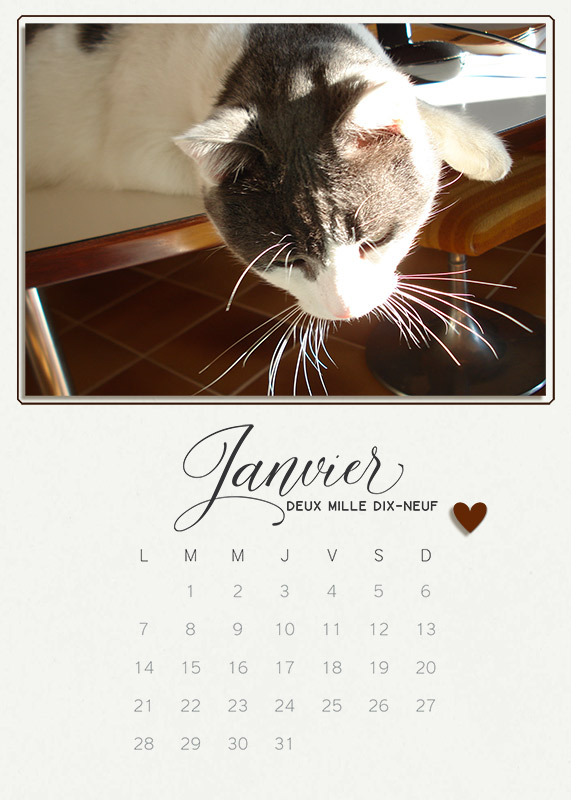 Calendar2019_January