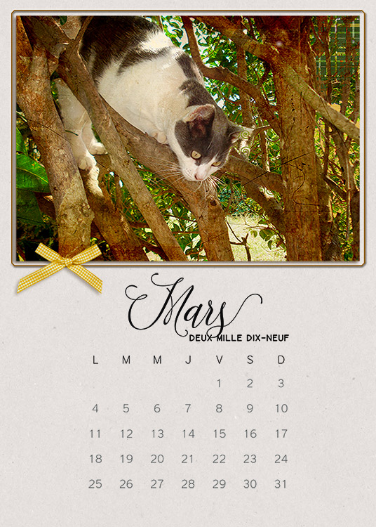 Calendar2019_March