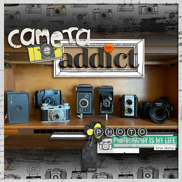 Camera Addict