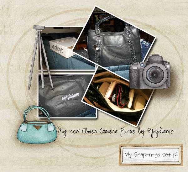 camera purse