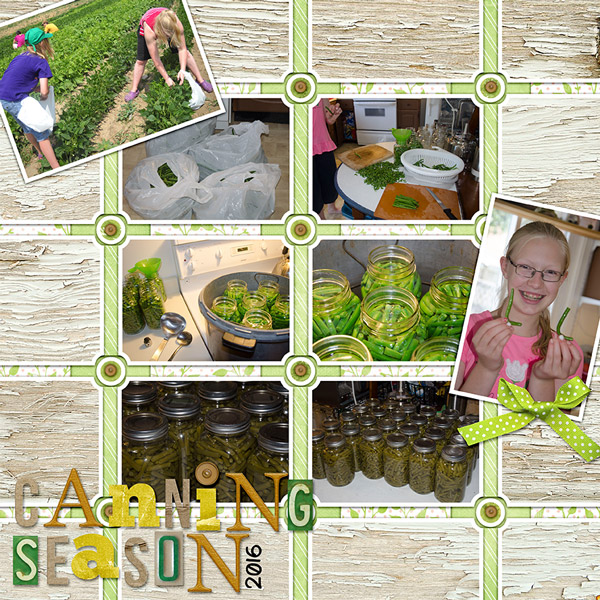 Canning Season