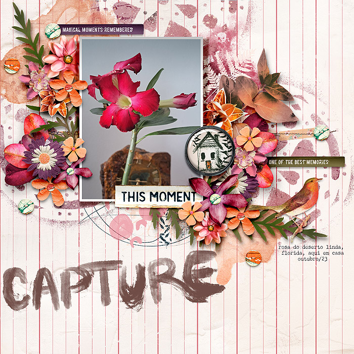 Capture