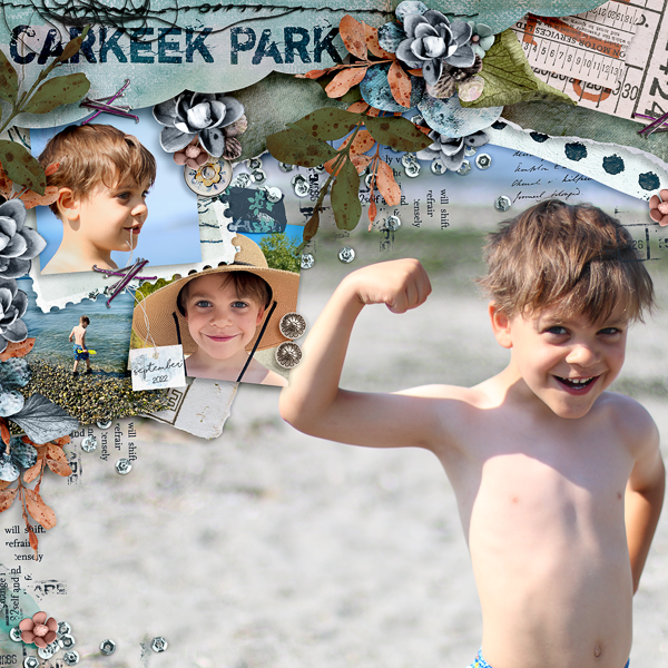 Carkeek Park