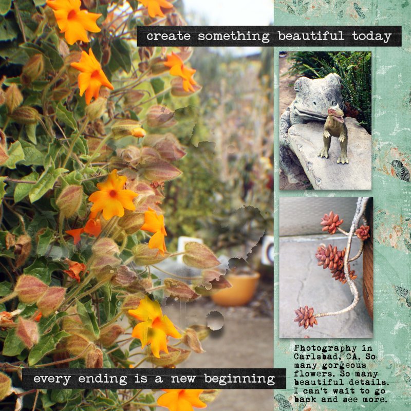 Carlsbad California Dreaming
